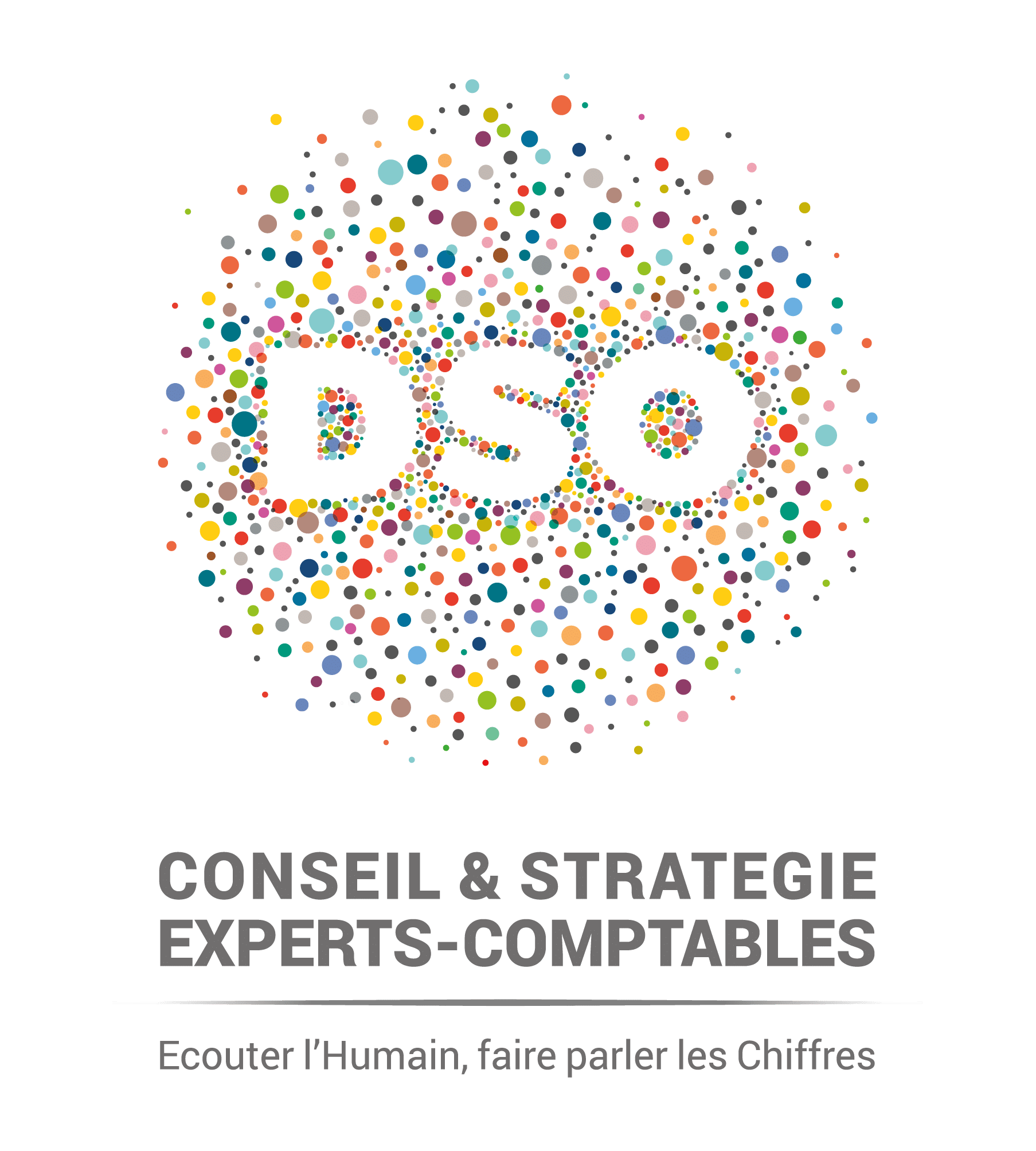 logo_DSO_Conseiletstrategie