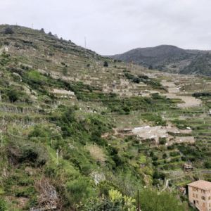 Screenshot 2026-04-02 alle 09.41.12